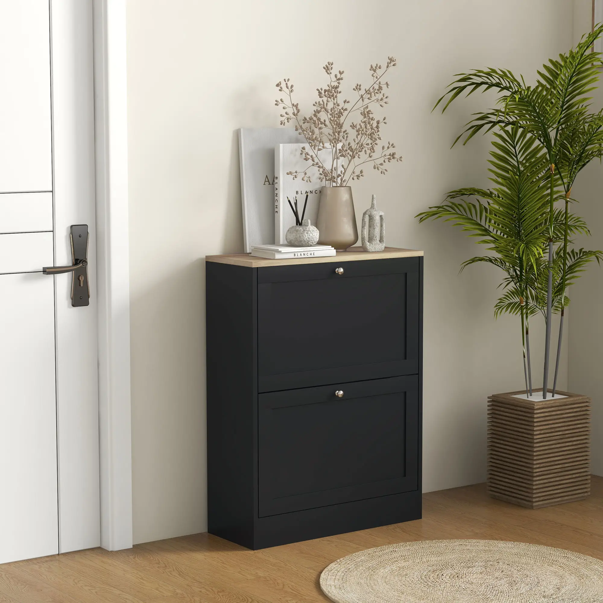 Slim Shoe Storage Cabinet, 2 Flip Drawers, Adjustable Shelves for 12 Pairs, Black - Image 2
