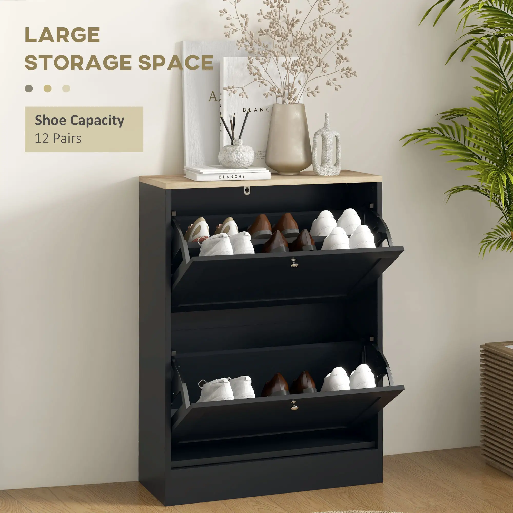 Slim Shoe Storage Cabinet, 2 Flip Drawers, Adjustable Shelves for 12 Pairs, Black - Image 4