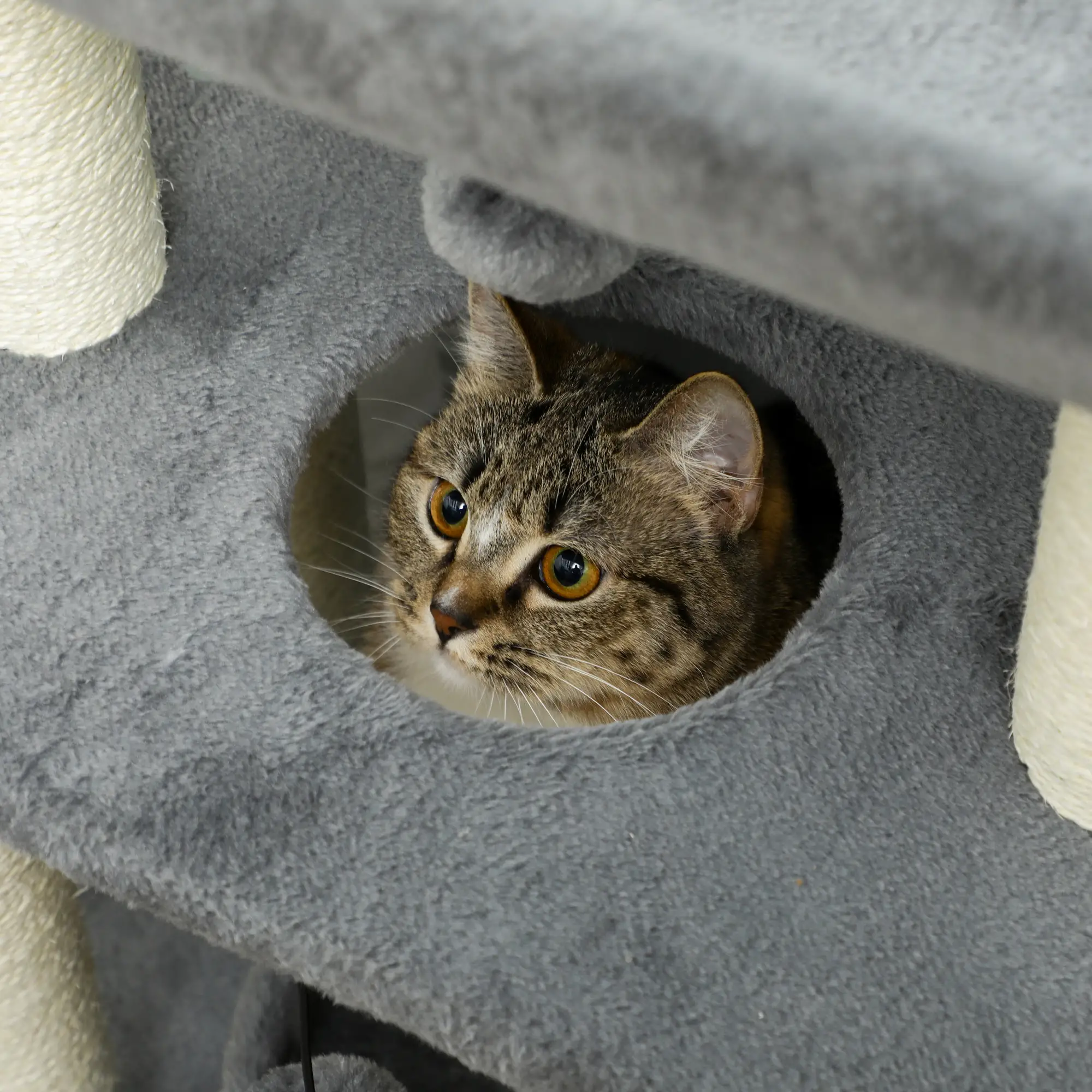 Small Cat Tree with Perch, Scratching Posts, Light Grey - Image 7