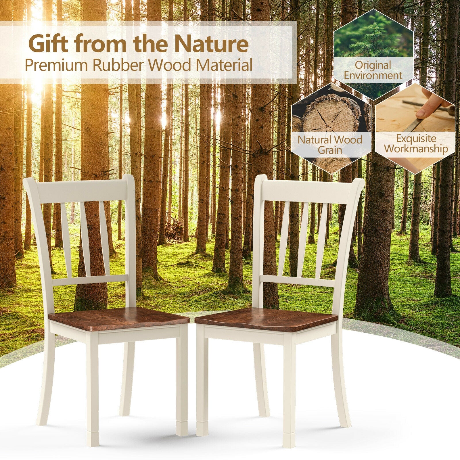 Solid Wood Dining Chairs, 2 Pieces, White - Image 6
