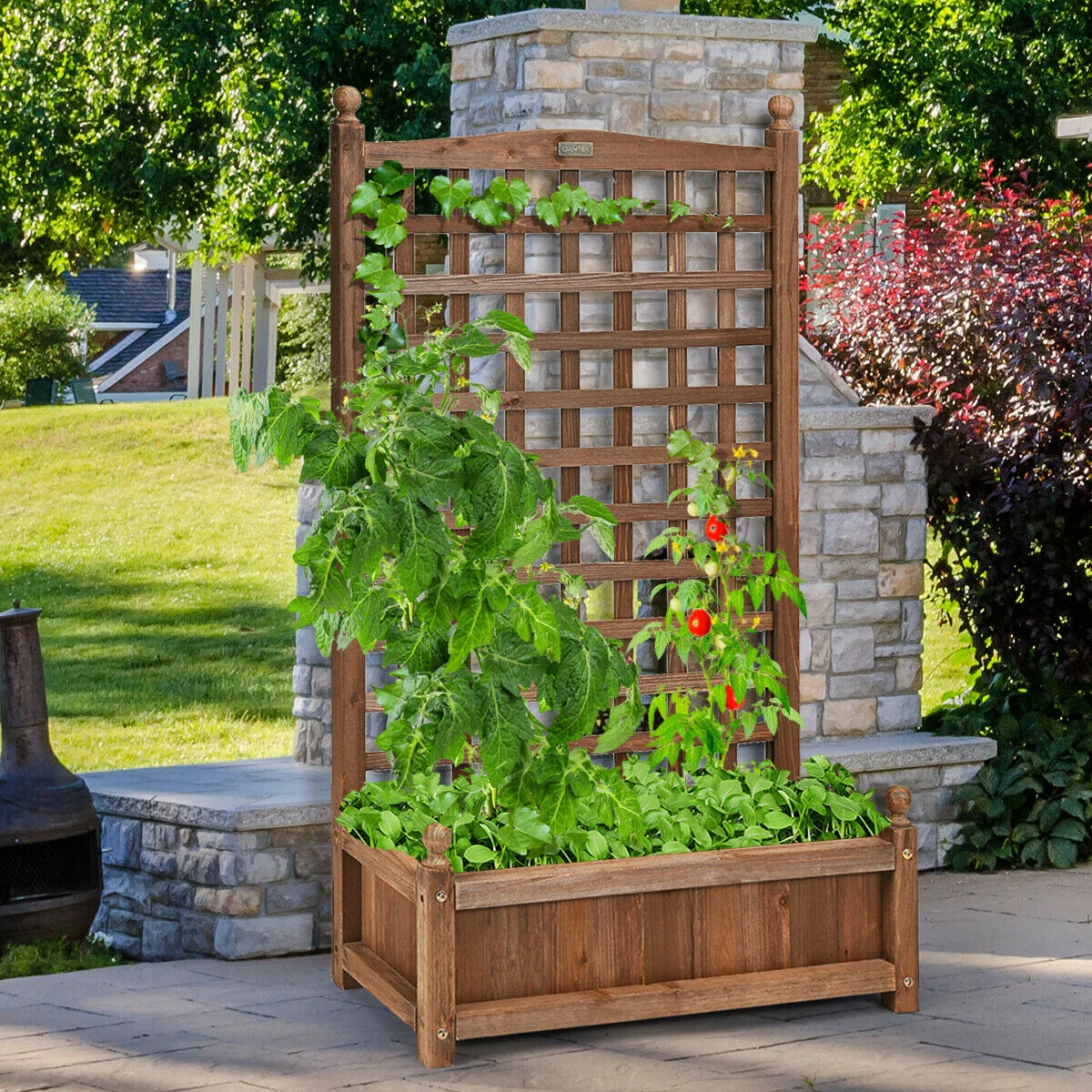 Solid Wood Planter Box With Trellis, Brown - Image 3