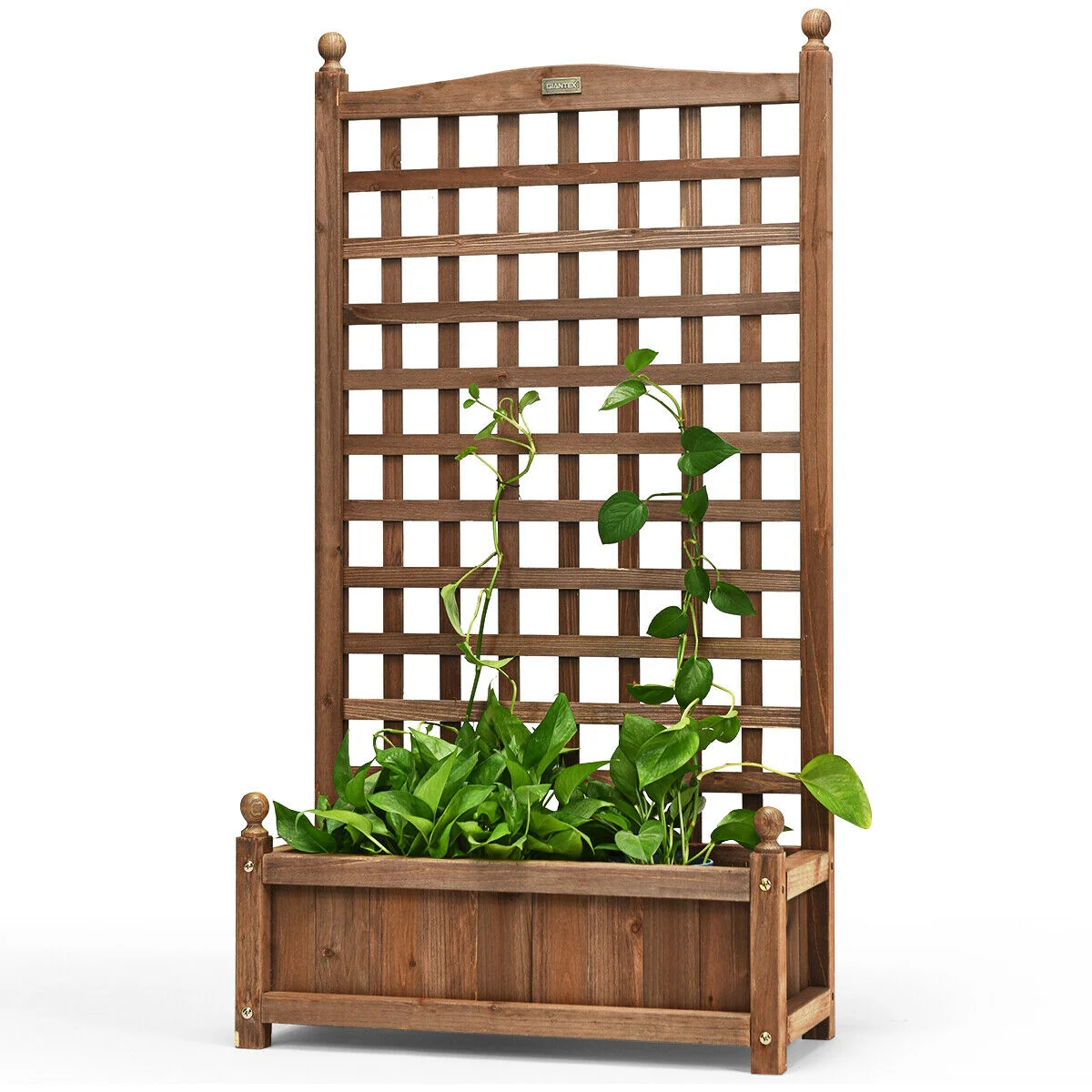 Solid Wood Planter Box With Trellis, Brown - Image 9