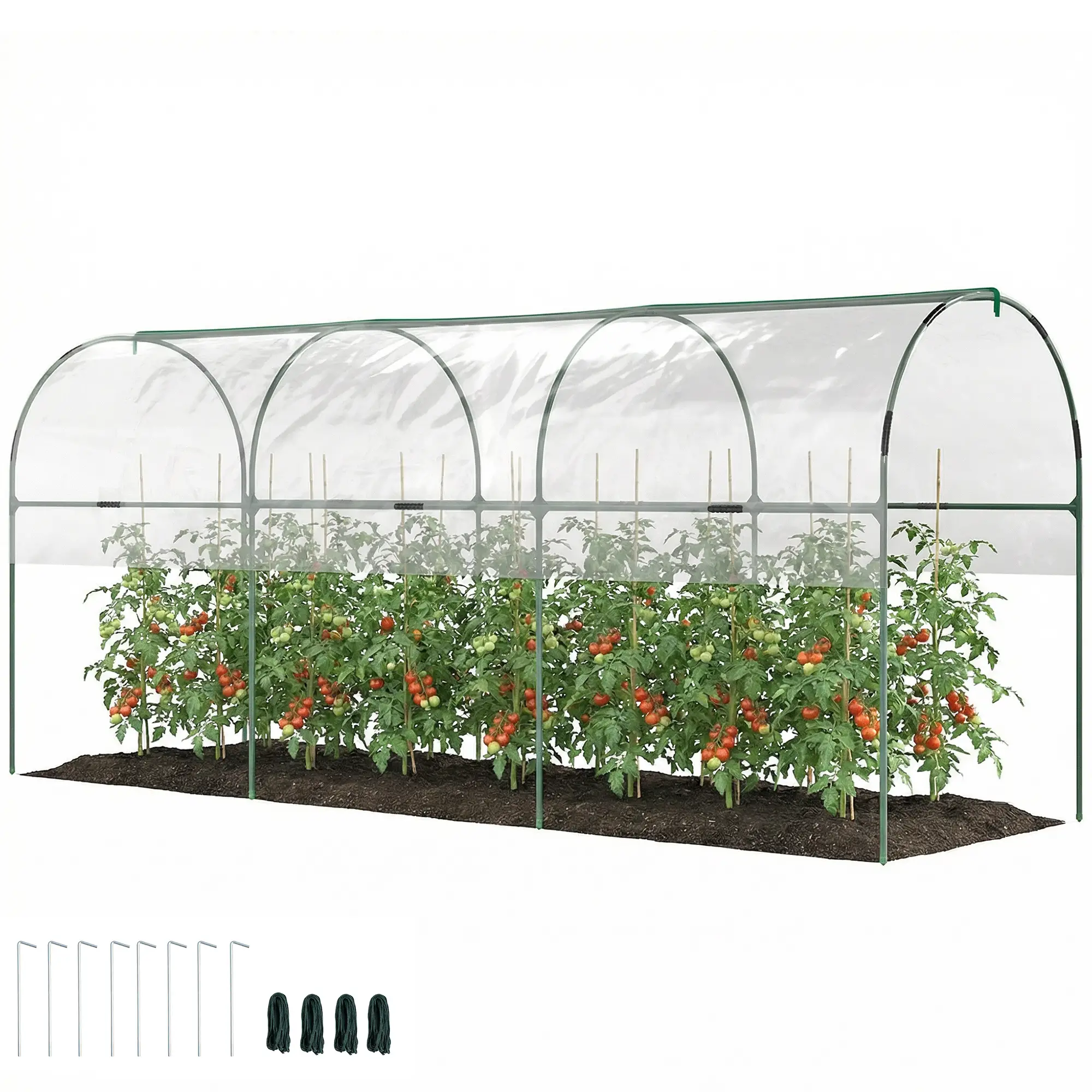Tomato Greenhouse Tunnel, 4 Hoops, Top Tap, 157.5" x 48.4" x 67.3", Clear - Image 11