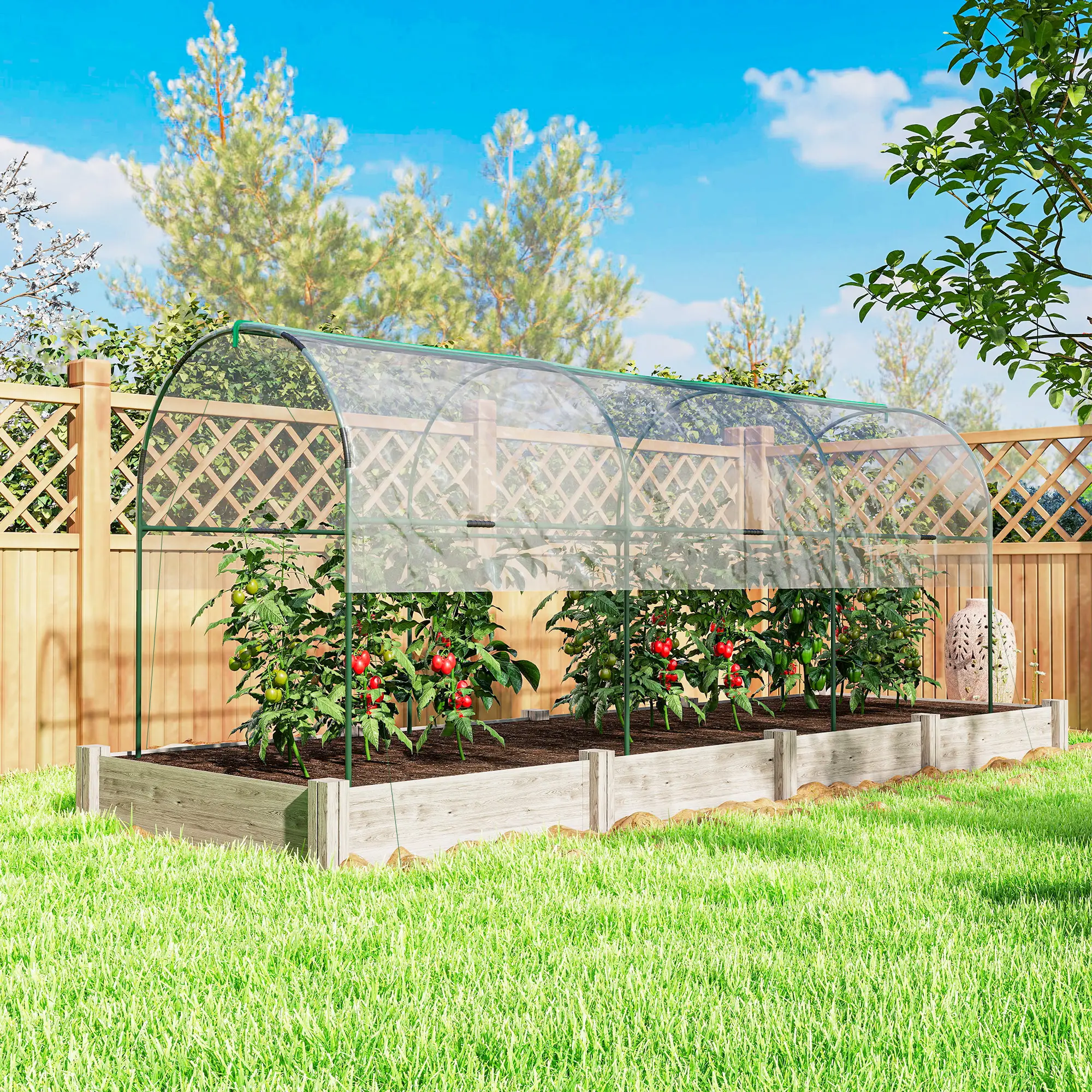 Tomato Greenhouse Tunnel, 4 Hoops, Top Tap, 157.5" x 48.4" x 67.3", Clear - Image 7