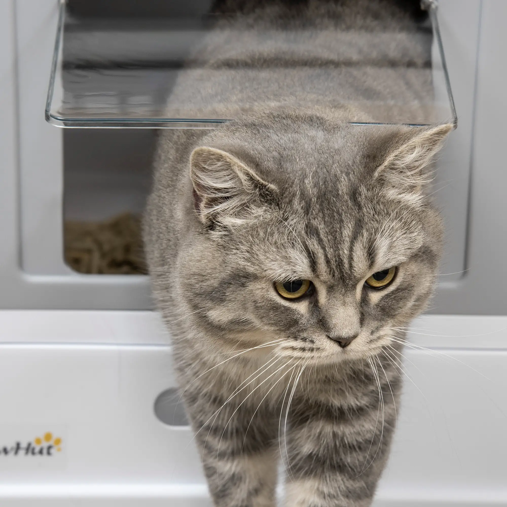 Top Entry Enclosed Kitty Litter Box with Scoop, Tray, Large, Grey - Image 10