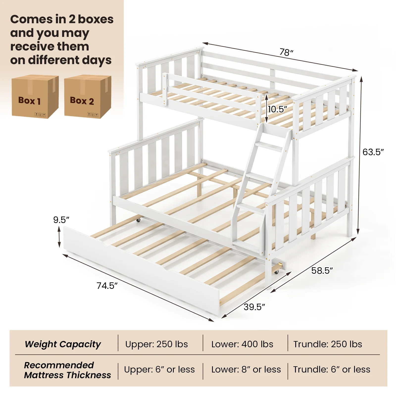 Twin Over Full Bunk Bed With Trundle, Ladder, White - Image 6