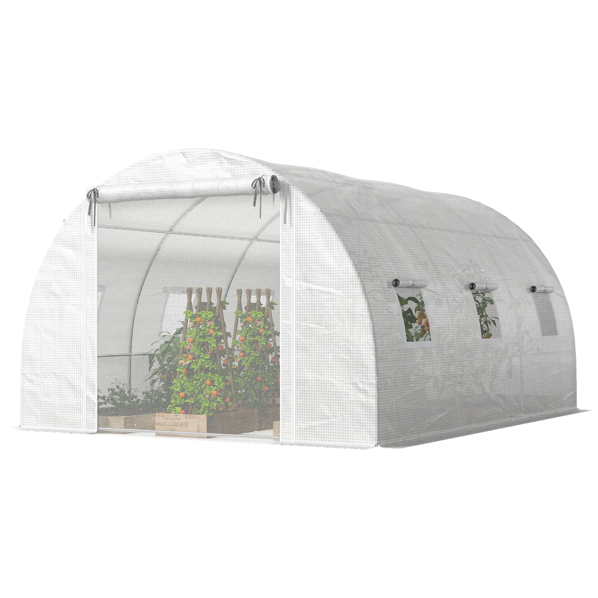Walk-In Tunnel Greenhouse, 13'x9.8'x6.6', White