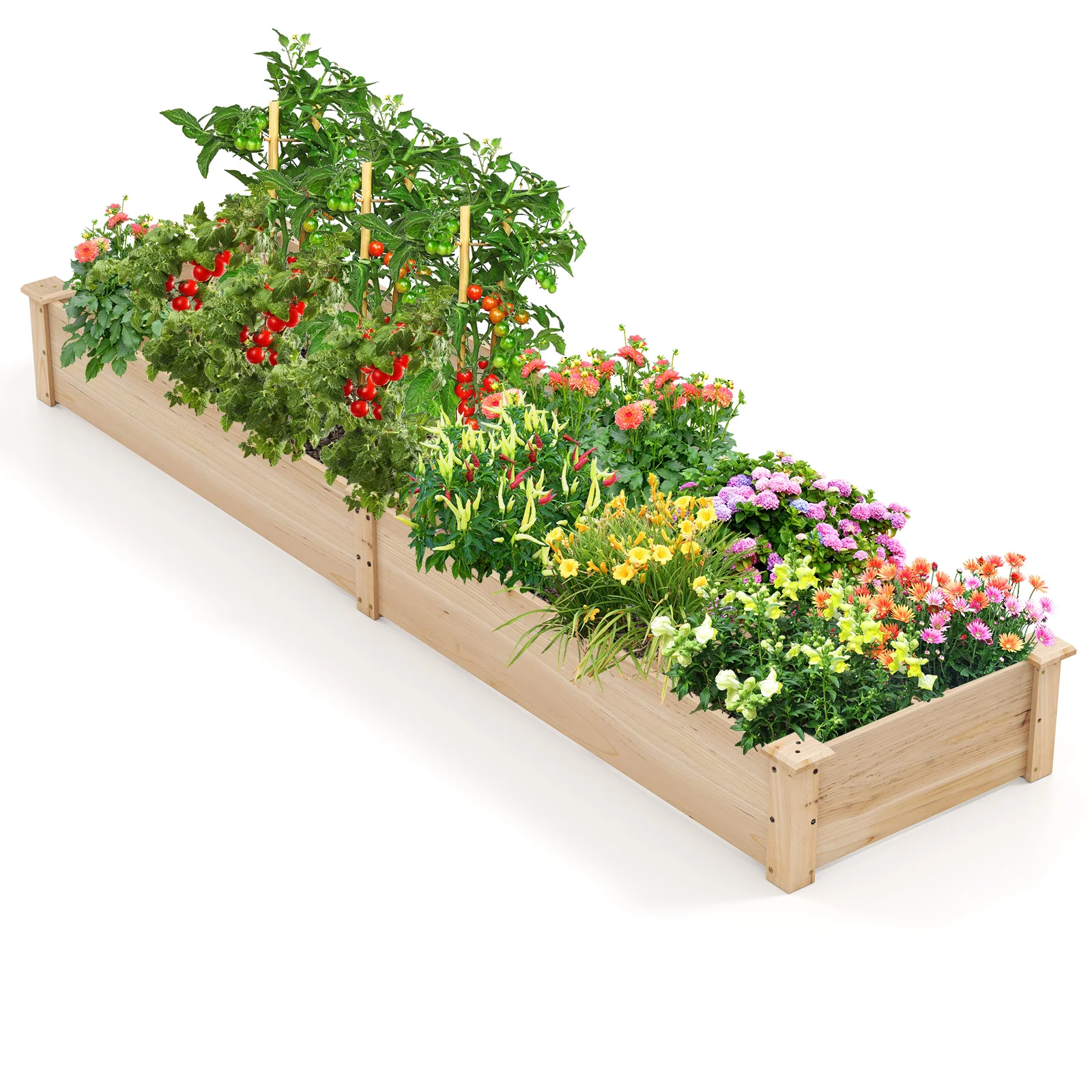 Wooden Raised Garden Bed, 2 Planter Boxes, Dividers, Natural