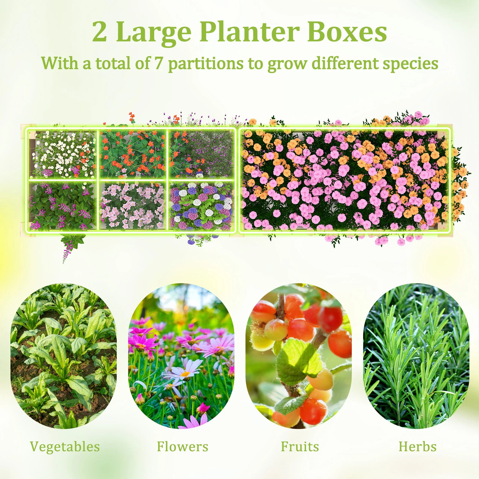 Wooden Raised Garden Bed, 2 Planter Boxes, Dividers, Natural - Image 10