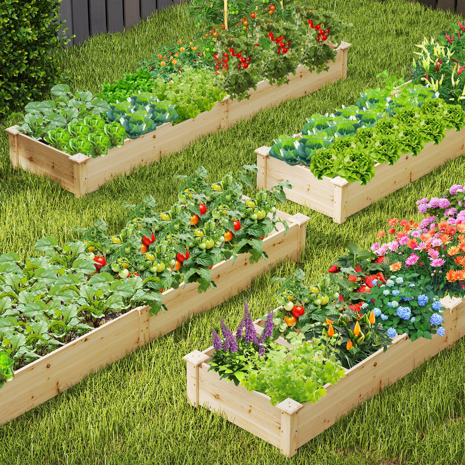 Wooden Raised Garden Bed, 2 Planter Boxes, Dividers, Natural - Image 3
