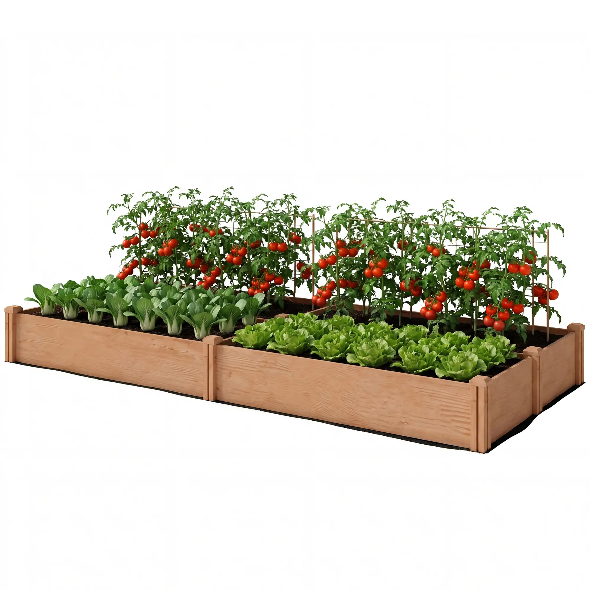 Wooden Raised Garden Bed, 8 x 4 x 1ft, Elevated Box With Dividers