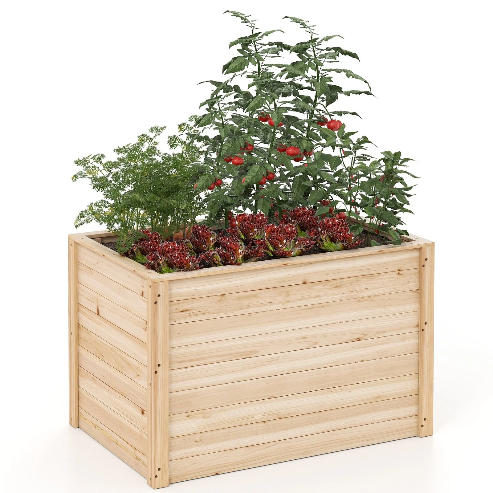 Wooden Raised Garden Bed, Elevated Planter Box, Open-Ended Base - Image 4
